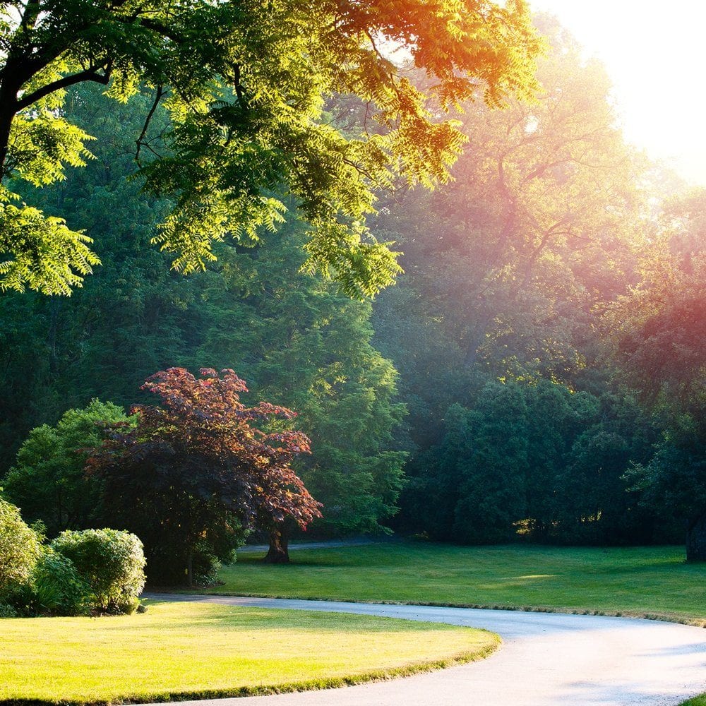 Wayne, PA Lawn Care Services